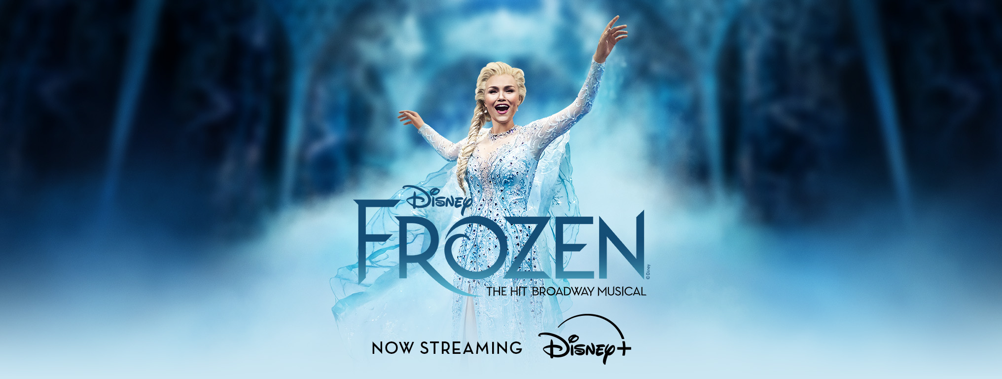 Disney FROZEN | The Hit Broadway Musical - Now Streaming